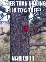easier than nailing jello to a tree 9