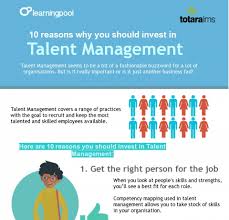 talent management infographic