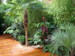 Small Tropical Garden Ideas Uk Extra