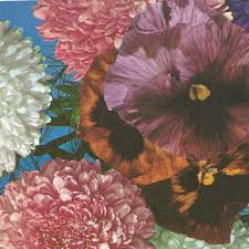 Now $119 (was $̶1̶6̶6̶) on tripadvisor: Annual Flowers In Color Og Mix Imaginary Softwoods