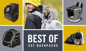 the best cat backpacks as rated by cat