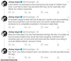 Chrissy teigen opened up about diversity in the modelling industry to e! Chrissy Teigen Finds Alison Roman S Remarks A Huge Bummer After Being Slammed By The Food Critic Daily Mail Online