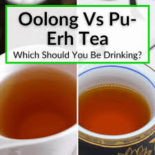 oolong vs pu erh tea which should you