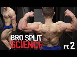 bro splits what does the science