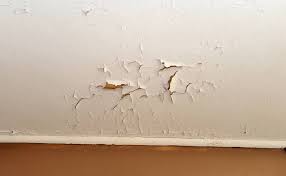 common plaster problems around your