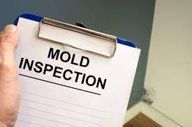 do home inspectors check for mold