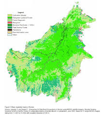 Ecosystems Of The Heart Of Borneo Wwf
