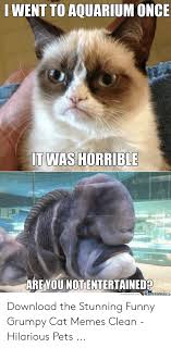 I don't own these clips.#bongocat #bongocatmeme #meme #memes #bongocatmemes20 minutes of the most fire. 31 Funny Memes Cat Memes Clean Factory Memes