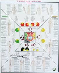 Meridian And Five Element Chart