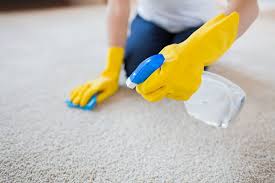 benefits of professional carpet cleaning