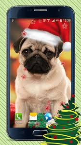 christmas dogs live wallpaper for