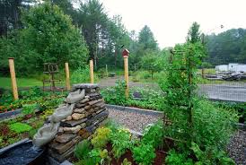 Ted S Biodynamic Garden Traditional