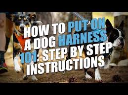 Lifepul Dog Harness Dogharness
