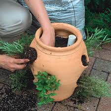 Plant An Easy To Water Strawberry Jar