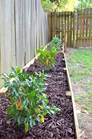 diy raised garden beds