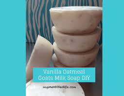vanilla oatmeal goats milk soap melt