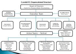Organizational Chart Cameroon Dallas Football Club Camdal