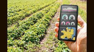 Zepto launches farmer-focussed app | Mint