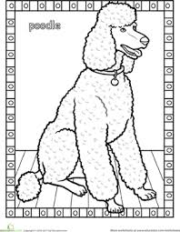 Color in this picture of an poodle and others with our library of online coloring pages. Poodle Worksheet Education Com