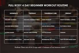 full body workout routine for beginners