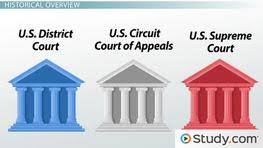 The 3 Levels Of The Federal Court System Structure And