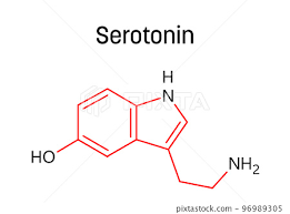 serotonin molecular structure