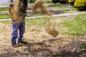 Use Straw On Your Newly Seeded Lawn