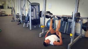 I've never seen it done with resistance bands, but i guess it works in theory? Vertical Leg Press Exercises Com Au Youtube