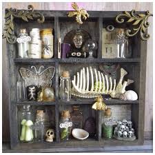 Curio Cabinet Shelf Witch Apothecary