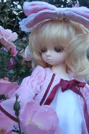 Rose Garden Volks Hinaichigo Bjd