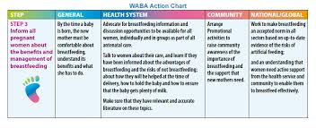Action Chart Step 3 Inform All Pregnant Women About The