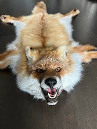 red fox decorative carpet made of