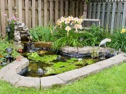 Build A Small Pond In Your Garden