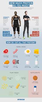 how much protein do you need visual ly