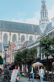 visitor tips for haarlem charming
