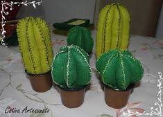 Fioriere con piante grasse decorate con cusci di frutti di mare : 900 Idee Su Piante Grasse Nel 2021 Piante Grasse Piante Cactus