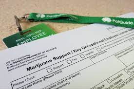 Refer to colorado medical marijuana laws for information about medical marijuana laws in colorado. How To Get Your Colorado Med Badge And Start Working In Cannabis Potguide Com