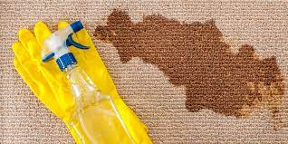 carpet cleaning do s and don ts
