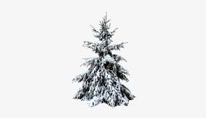 All png & cliparts images on nicepng are best quality. Pine Tree Png Snow Christmas Tree 400x400 Png Download Pngkit