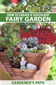 how to create a succulent fairy garden