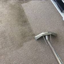 carpet cleaning in mississauga