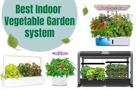 Indoor Vegetable Garden Growing System