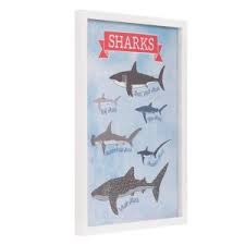 Pinnacle 22 In X 26 In Types Of Sharks Shark Chart Framed