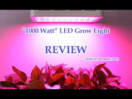 1000 Watt Led Grow Light By Colofocus Review Youtube