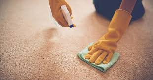 grease out of carpet first aid tips