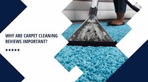 carpet cleaning reviews important