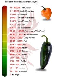 Heat Index Types Of Chili Peppers And Their Heat Index