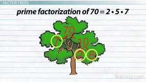 What Is Prime Factorization Definition Examples