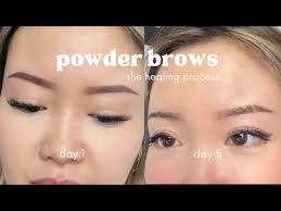 ombre powder brows healing process 5