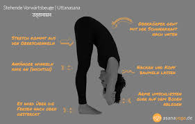 Übe jedoch niemals yoga, sobald du eine 15. 7 Yoga Ubungen Fur Zuhause 15 Minuten 10 Bonus Tipps Fur Deine Eigene Yoga Oase Asanayoga De
